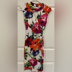 Caché sleeveless knee-length colorful floral dress XS